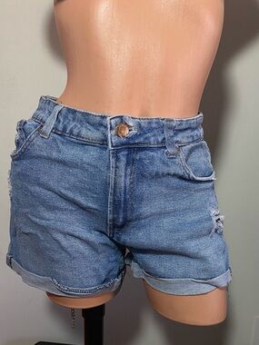 Vizio Classic High-Rise Blue Denim Shorts Size 10/11